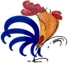 Close-up photo of a Rooster, our designated logo.